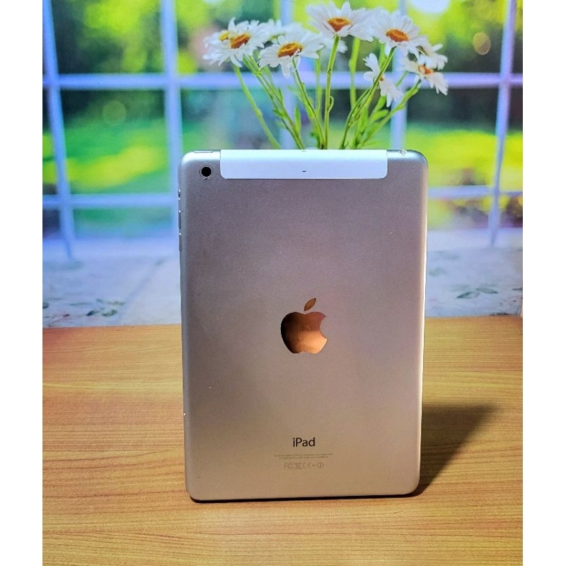 iPad Mini 2 7.9 inch Cellular