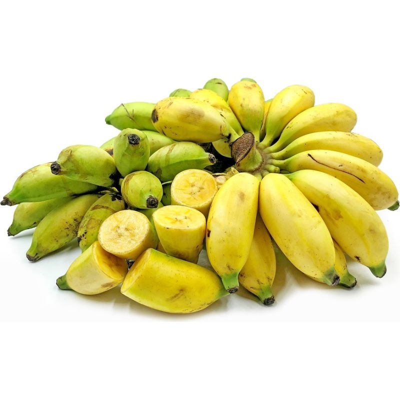 

Pisang Lampung