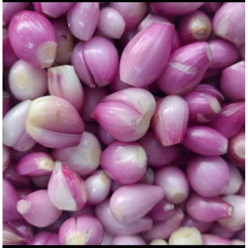 

Bawang Merah Brebes Kupas 1kg