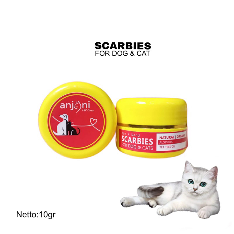 SALEP SCABIES JAMUR KORENG KUCING OBAT JAMUR KUCING ANJING