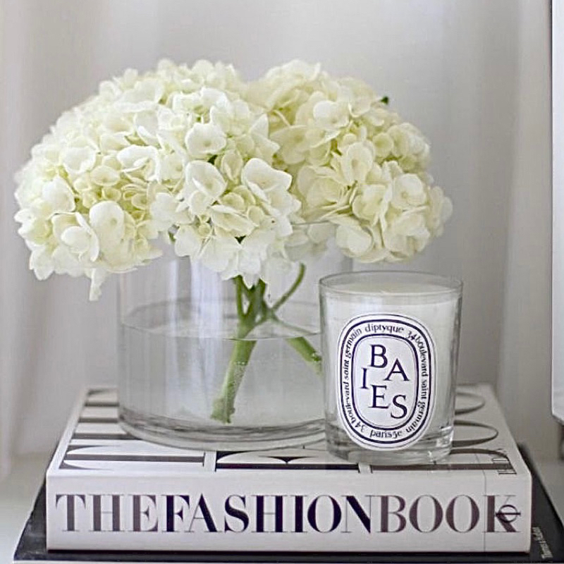 DIPTYQUE SCENTED CANDLES SERIES BAIES AMBER VANILLE | Scented Candle Aesthetic | Properti Foto Product Minimalis Mewah | Lilin Aromaterapi