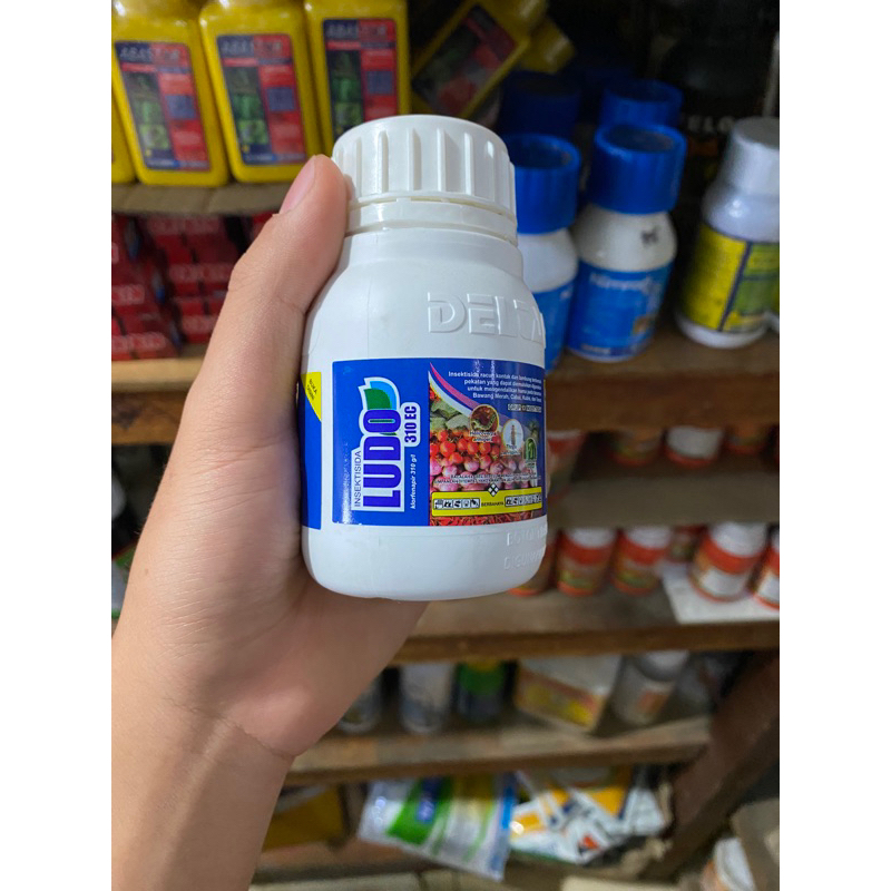 Insektisida ludo 310EC isi 100ml