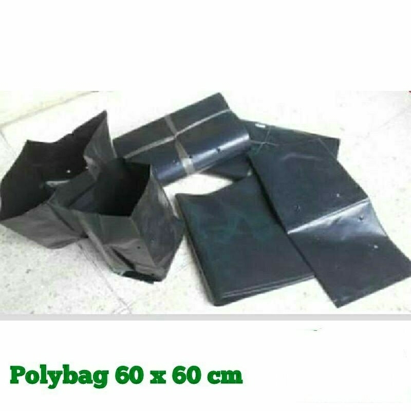 Polybag 60x60