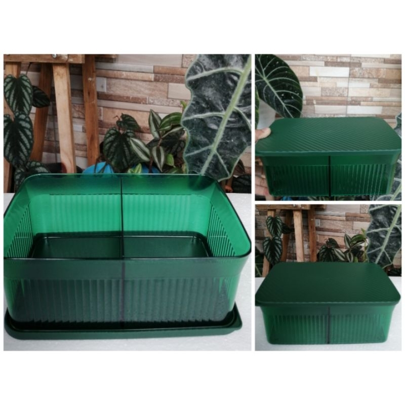 snack it emerlad / snack it hijau tupperware Malaysia (1)