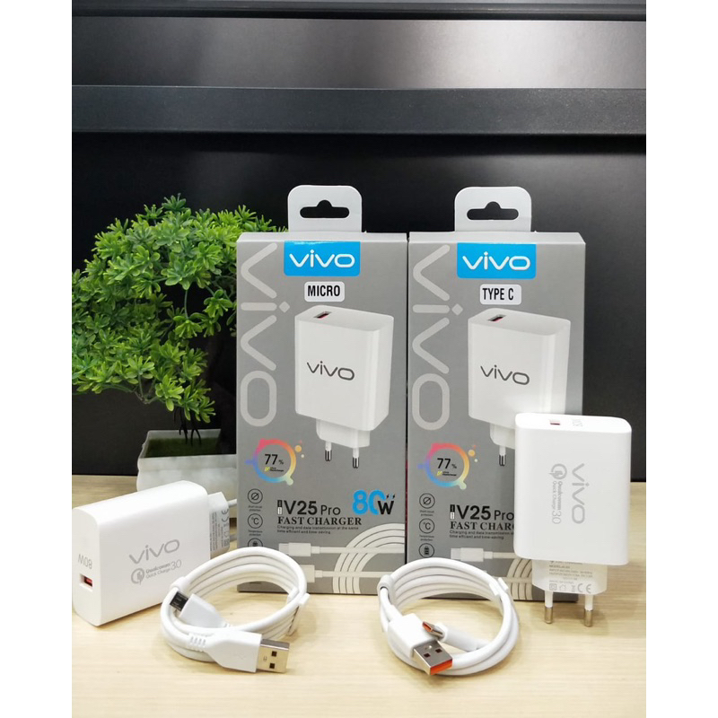 Travel Charger Vivo V25 Pro 80watt Micro Dan Type C Super fast Charging Promo Sen