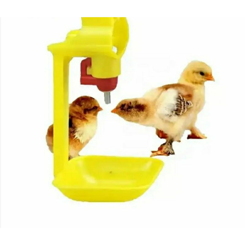 drinkcup nipel ayam boiler alat ternak ayam broiler