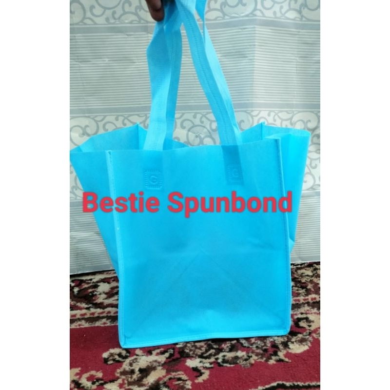 

Tas Spunbond Kotak 22 Harga per lusin (12pcs)