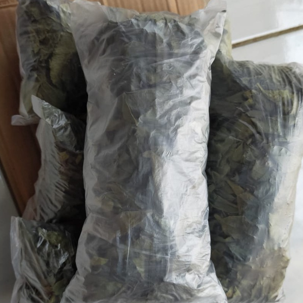 

TERBAIK JAMU DAUN KEJI BELING KERING -100 GRAM