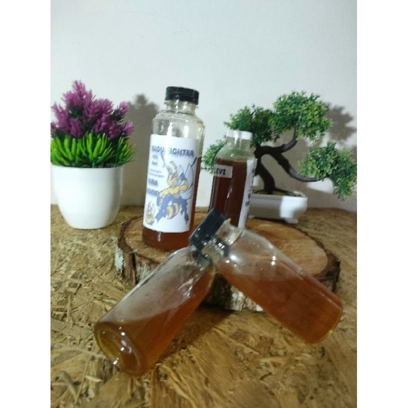 

madu klanceng asli