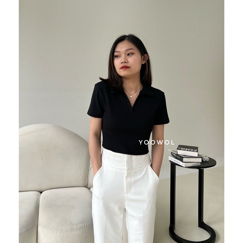 Shea Top/ Basic Knit Crop Top