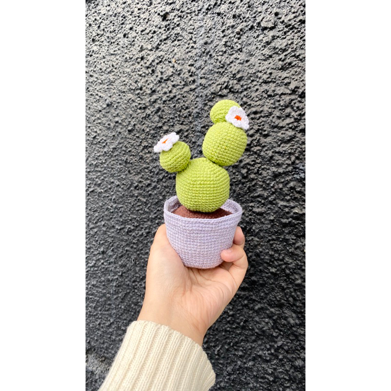 Amigurumi Kaktus, Boneka Kaktus, Hiasan Kaktus