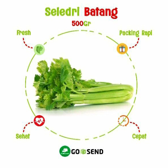 

SELEDRI BATANG / CELERY STICK / FRESH VEGETABLE