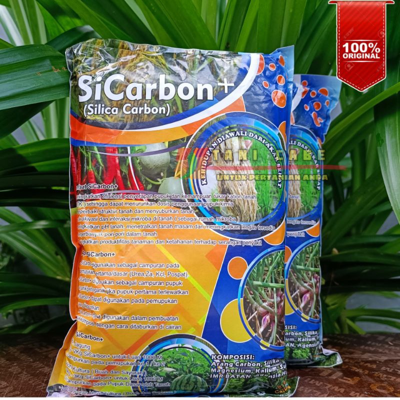 SICARBON + SILICA CARBON ORIGINAL 1 KG