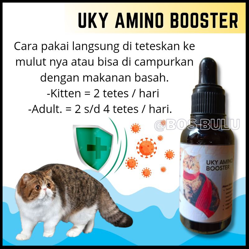 uky amino booster vitamin nafsu makan penggemuk badan pelebat bulu kucing 30ml