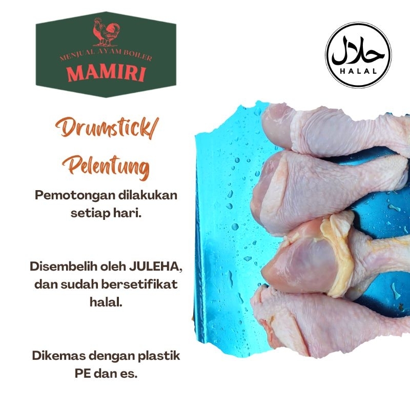 

Drumstick/plentung ayam 1kg