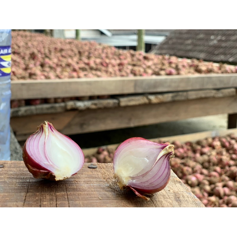 

brambang boyolali langsung dari petani