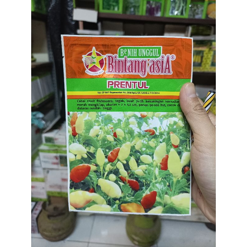 cabe prentul 10gram bintang asia