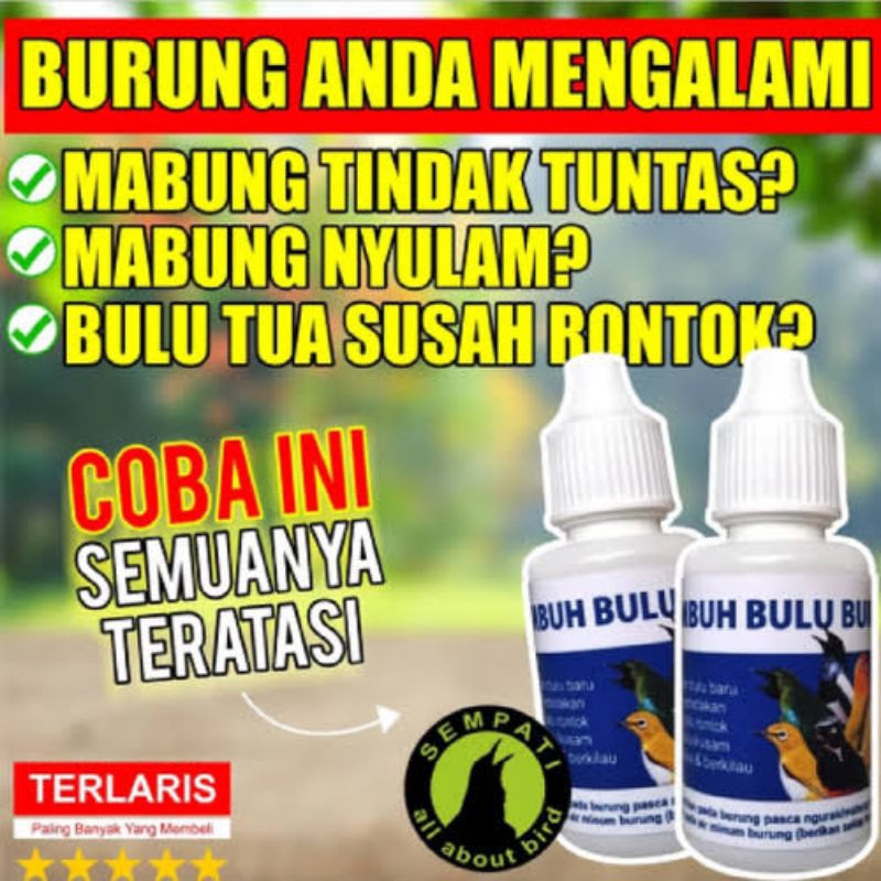 OBAT PENUMBUH BULU BURUNG SEMPATI OBAT BURUNG BULU RONTOK PATAH MABUNG