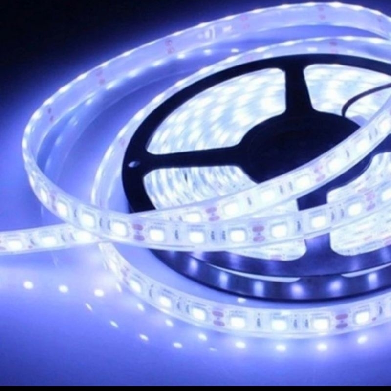 Lampu LED Strip 12V 6500K IP65 R5050E NVC