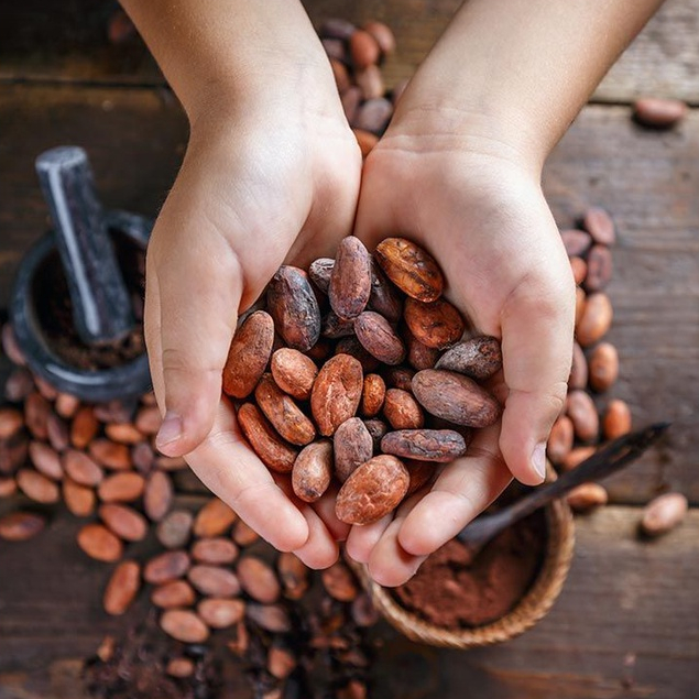 

Biji Coklat / Cacao Beans Kakao Cocoa Nibs Khas Pulau Lombok