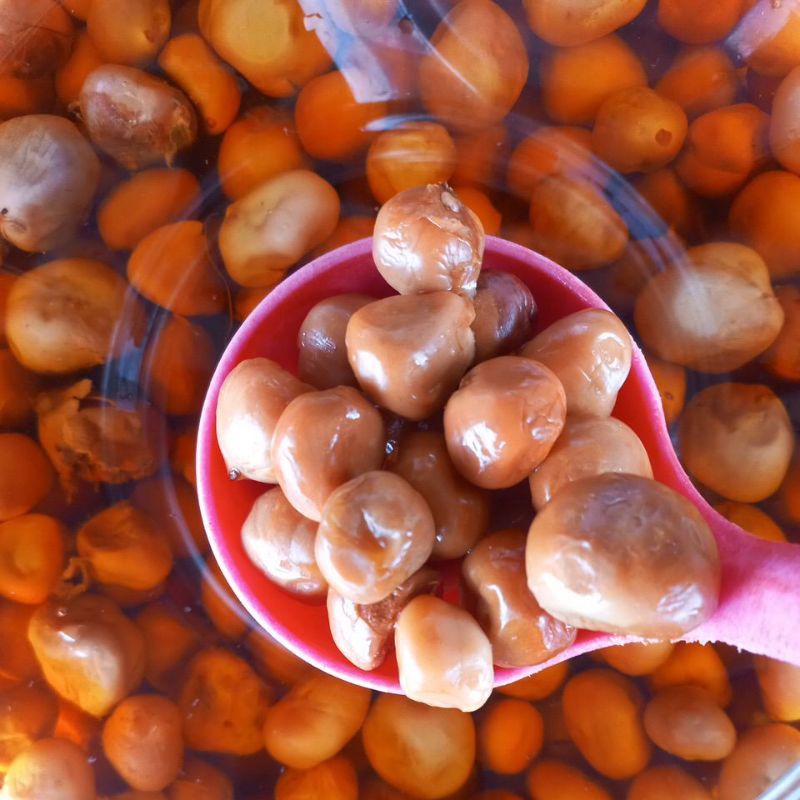 

Asam Maram Tanpa Biji Besar/Atapson Mofut Besar/Asam Paya Non Biji Khas Singkawang 500g