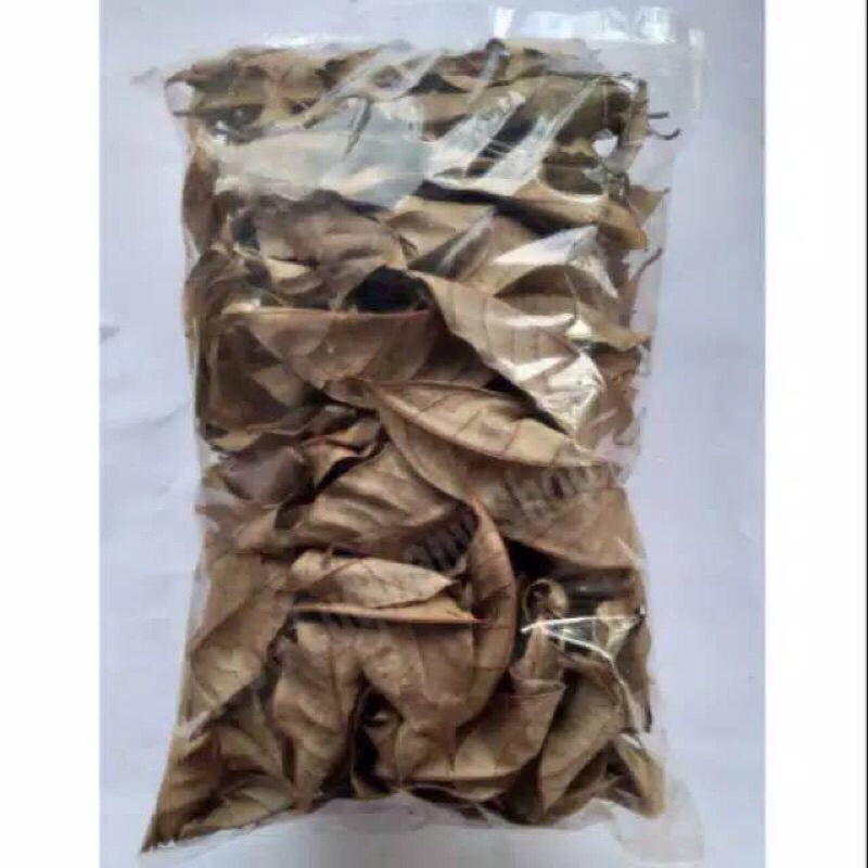 

DAUN PALA KERING 100 grm (segar dan di keringkan)