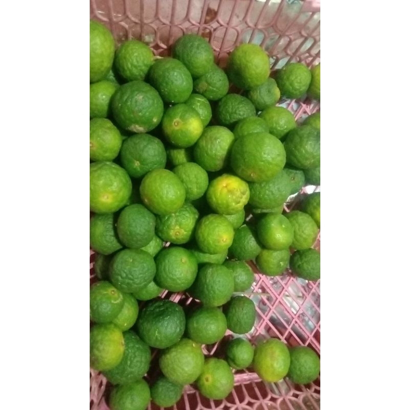 

jeruk limau/jeruk sambal