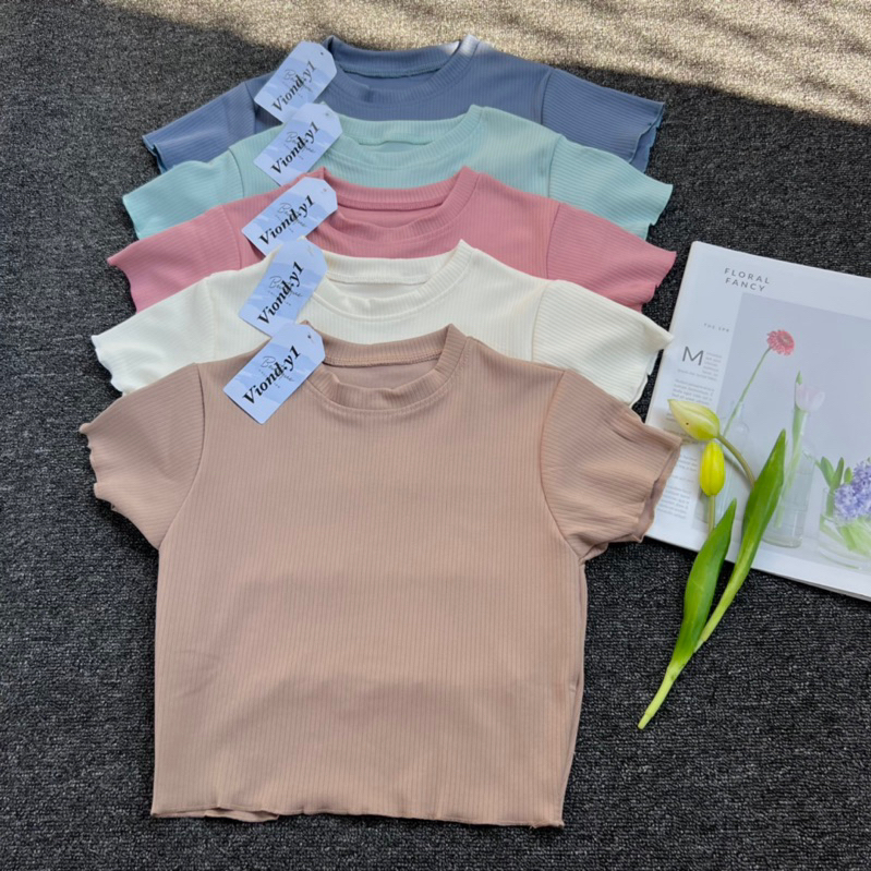 Atasan Wanita Crop Top Strech / Kaos Cewek Polos / Baju Knit Korea Lengan Pendek E32