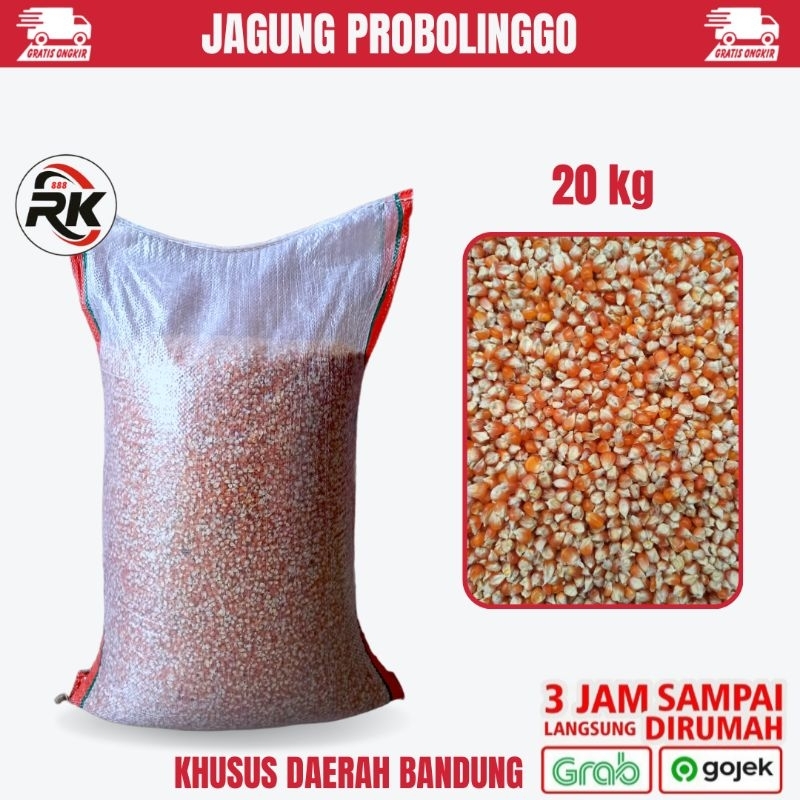 JAGUNG PROBOLINGGO 20 KG PAKAN MAKANAN BURUNG MERPATI DARA AYAM