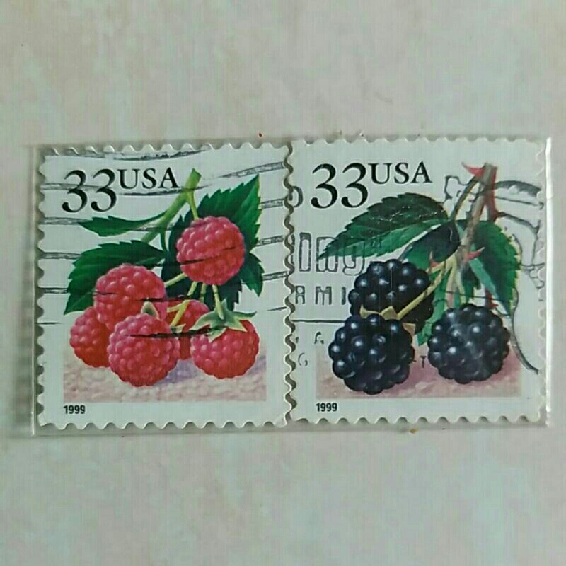 

(AB) Perangko Amerika Serikat 1999 Berries Set 2pcs Used