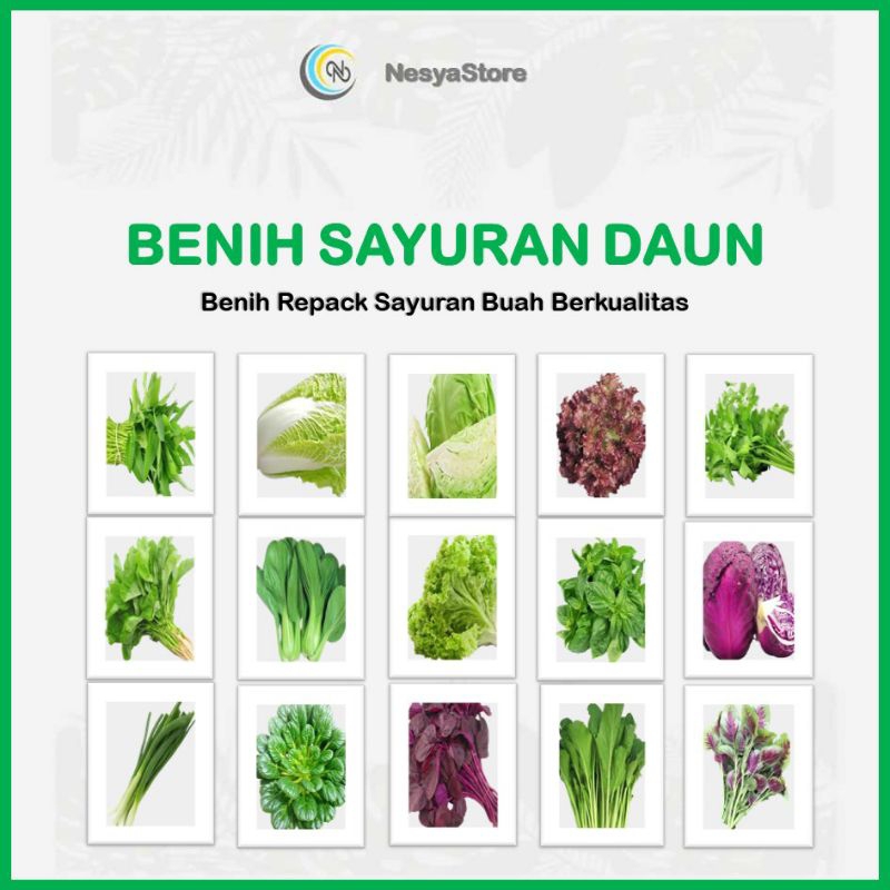 Benih Sayuran Daun Benih Sayur Daun Berkualitas Repack Premium