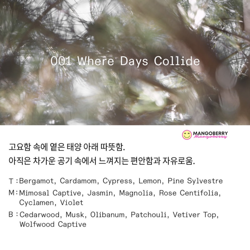 3CE - EDP Discovery Set