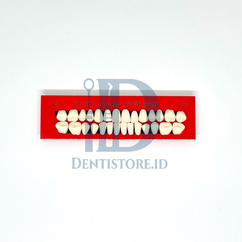Gigi Palsu Resin Akrilik Acrylic Caiyu Full Set 28 Gigi Full Set Gigi Tiruan Gigi Lepasan Denture