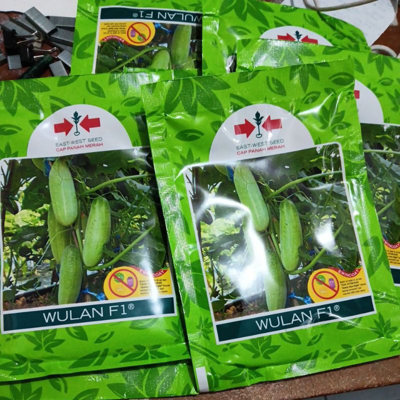 terlaris benih Mentimun WULAN F1 ISI 700 BUTIR