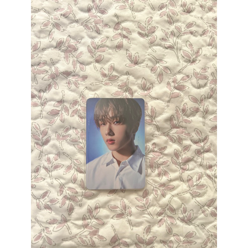 NCT Dream - Jisung Starry Daydream Official Photocard