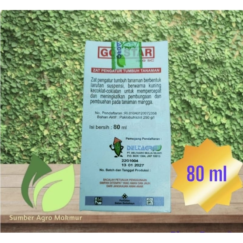 GOLSTAR 250 SC ZPT merangsang pembungaan tanaman mangga 80 SC