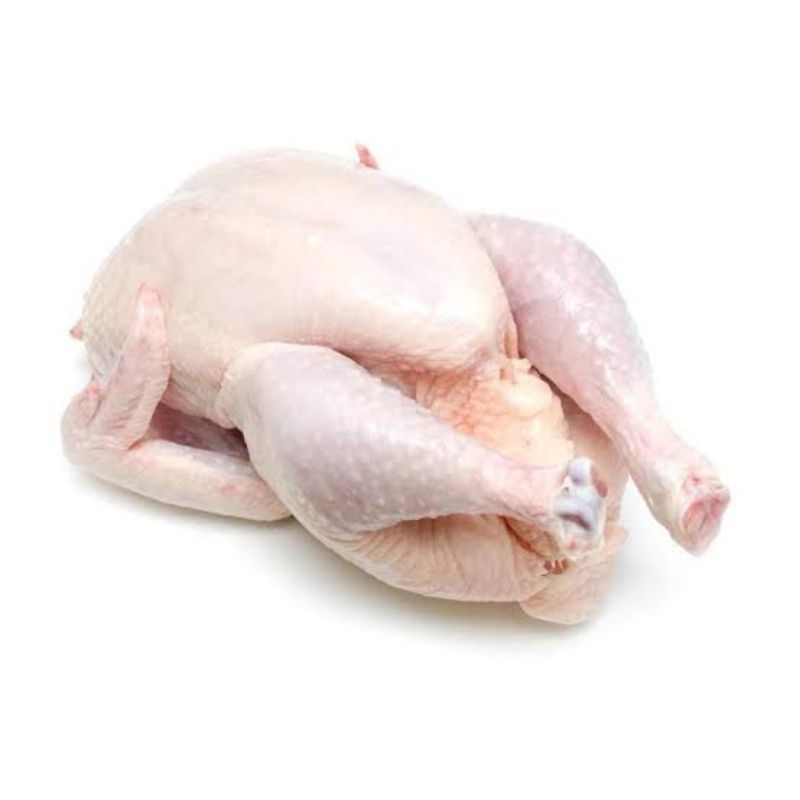 

Ayam Broiler Karkas Frozen 0.9-1kg
