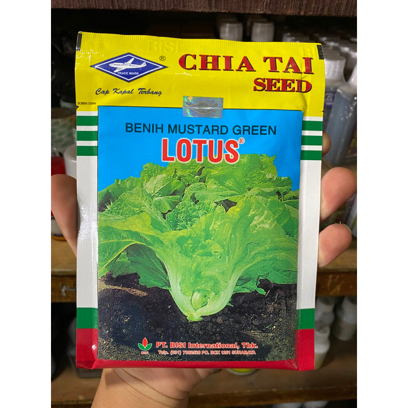 Benih bibit tanaman mustard green sawi pahit lotus 50 gram