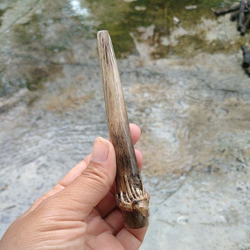 once pipa kayu tlogosari asli