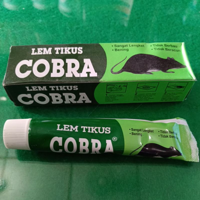 

lem tikus cobra