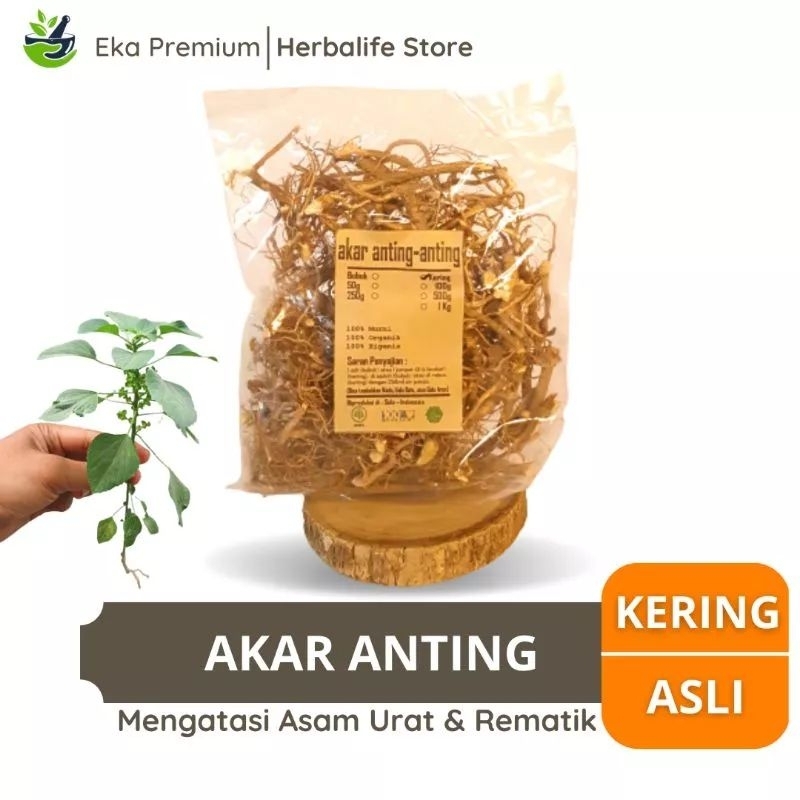 

AKAR ANTING ANTING KERING Asli Ramuan Rempah Herbal Jamu Minuman Obat Tradisional Asam Urat Rematik Diabetes