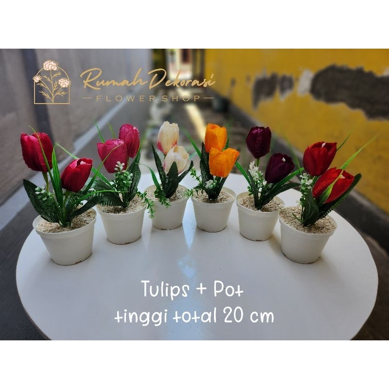 Bunga Tulips (2 kuntum) + Pot