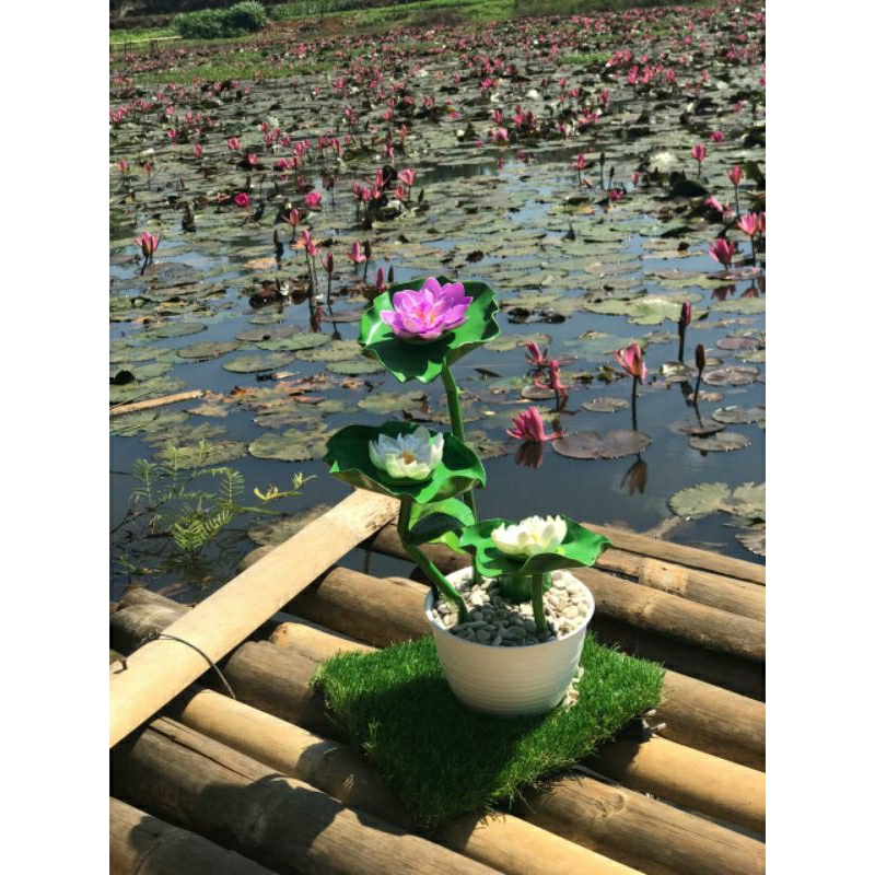 Aercur Air Mancur Teratai Mini hias kamar  bunga dekorasi rumah pot bunga tanaman rak kaktus