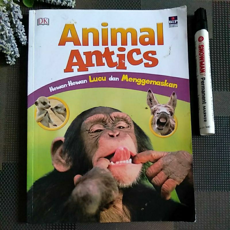 buku ensiklopedia hewan Animal Antics DK prelove