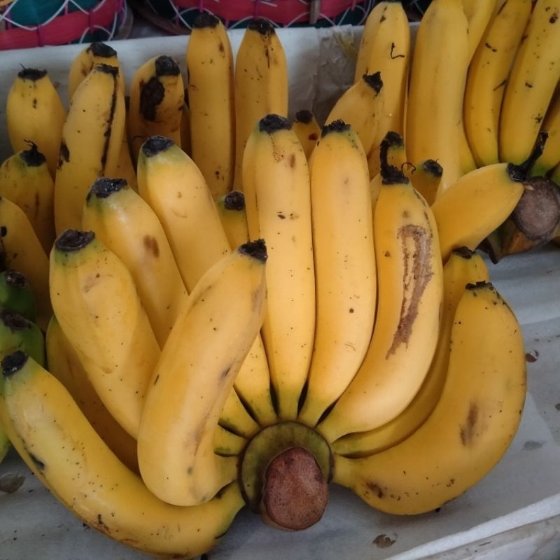 

Pisang Ambon
