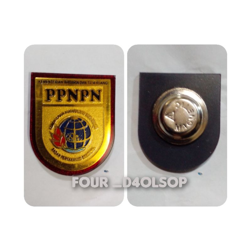 pin PPNPN