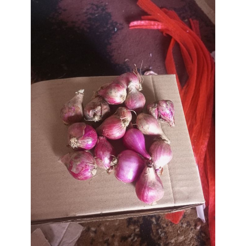 bawang merah paket goceng