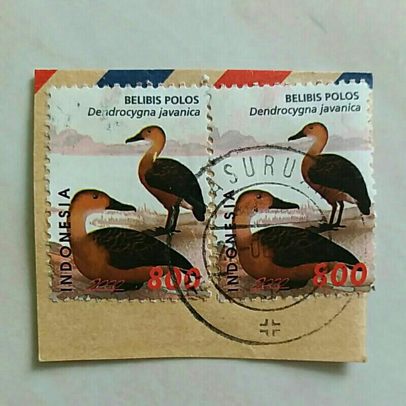

(K21) Cap Pos Jelas Perangko Bebek Seri 3 2000 800 Rupiah Used