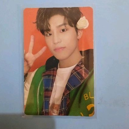 Photocard Treasure Jeongwoo TSS  Green ver