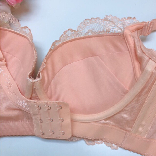 Bra (K-D69) Pakaian dalam wanita / elegan edition super soft berkawat dan busa push up